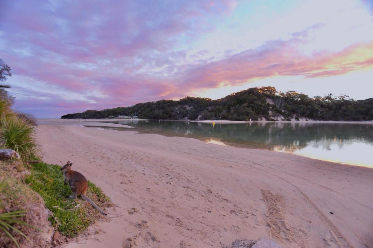 فيلا The Cove Jervis Bay المظهر الخارجي الصورة